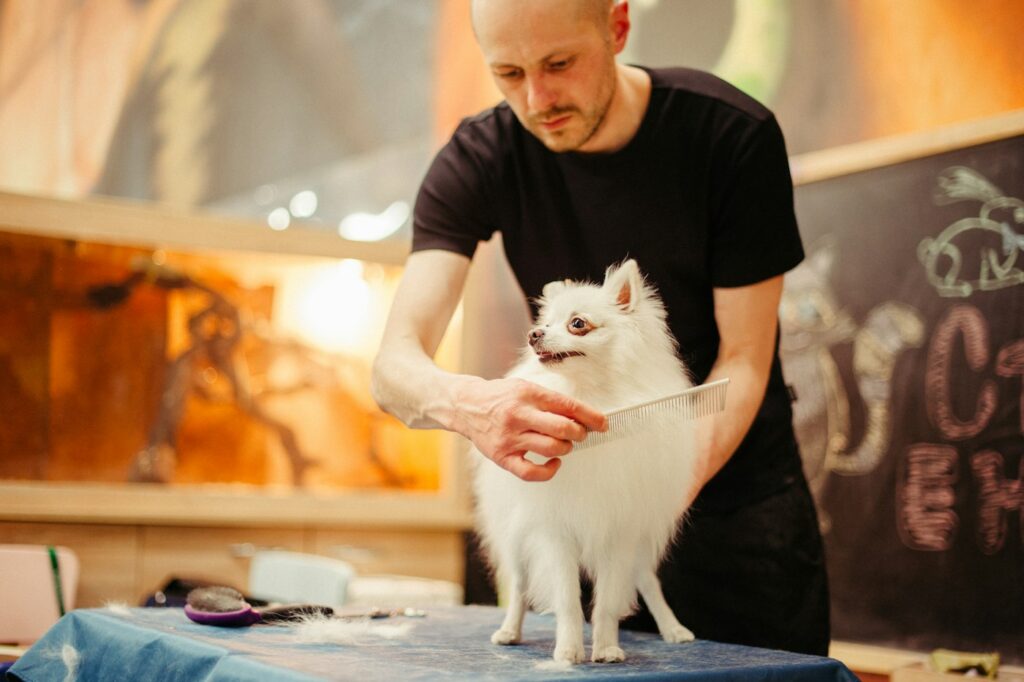 LYT Dog Grooming
